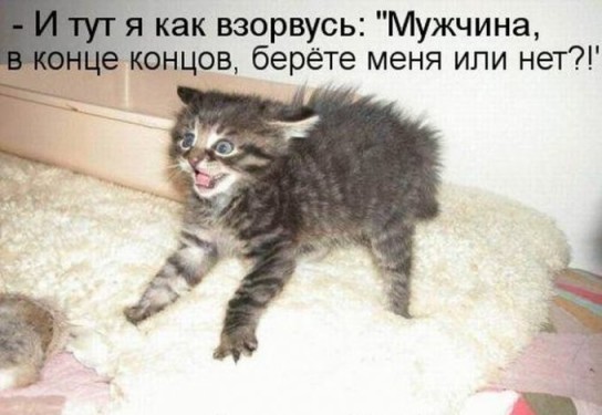 c4c4c8c57f0a7b20d8d984371efa2de7_resize_keep_680_None